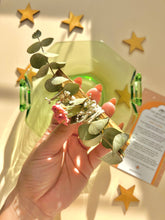 Load image into Gallery viewer, Palo Santo Eucalyptus Smudge Incense Stick
