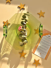 Load image into Gallery viewer, Palo Santo Eucalyptus Smudge Incense Stick
