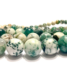 Load image into Gallery viewer, Green White Moss Tree Agate Gemstone Smooth Round Beads - Coral and Vine Co
