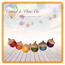 Load image into Gallery viewer, Rainbow Acorns. Wool Felt Celebration Decor. - Coral and Vine Co
