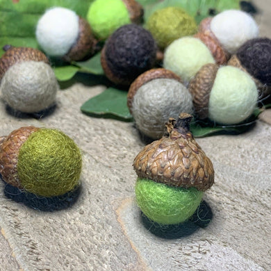 Soft Green Centerpiece Decorations. Wall Decor. Colorful Wool Acorns - Coral and Vine Co