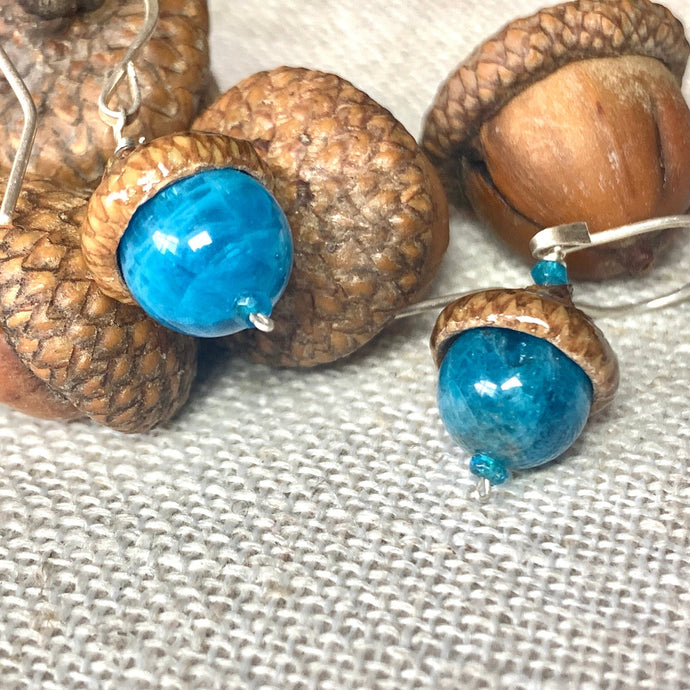 Teal Apatite Fairie Earrings w/ Acorn Caps in Silver - Coral and Vine Co